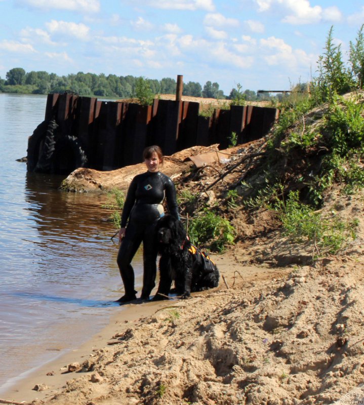 Фотография № 227958