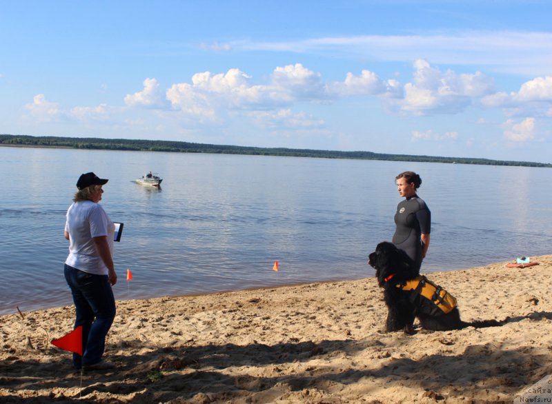 Фотография № 227961