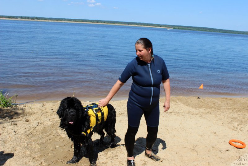 Фотография № 227978