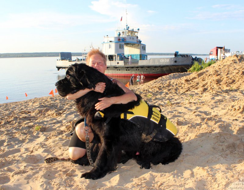 Фото: ньюфаундленд Modiliani is Antagrada (Модильяни из Антаграда), Tat'yana YAkovleva (Татьяна Яковлева)