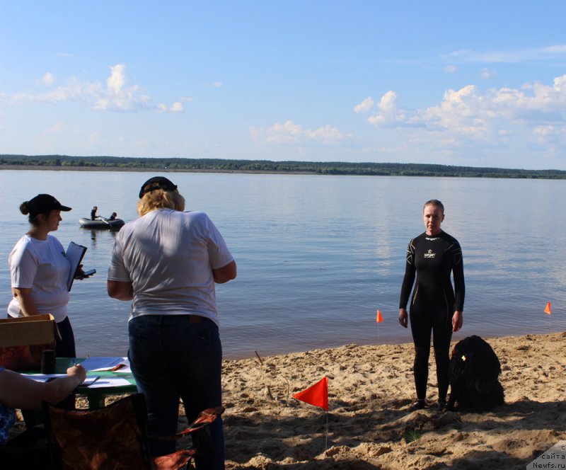 Фотография № 228012