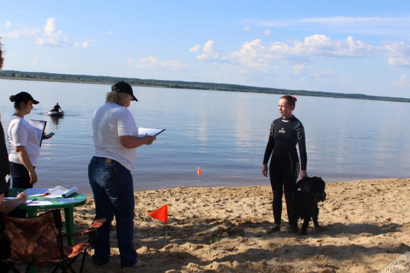 Фотография № 228013