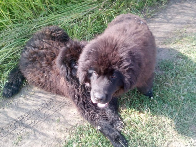 Фото: [d16887] и [d16882]