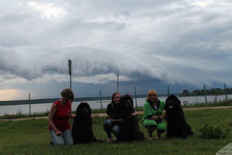 Фото: Anna Petrushkina (Анна Петрушкина), ньюфаундленд Melty Wave Marine Tifeya (Мелти Вейв Марин Тифея), Anastasiya Kireeva (Анастасия Киреева), ньюфаундленд Dyurbahler Klab Al'faretta Vin'etta (Дюрбахлер Клаб Альфаретта Виньетта), Elena Bajutina (Елена Бажутина), ньюфаундленд Russkaya Krasavica Nyura (Русская Красавица Нюра)