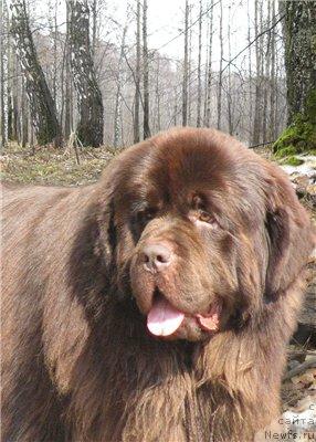 Фотография № 22807