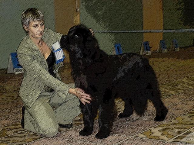 Фотография № 22810