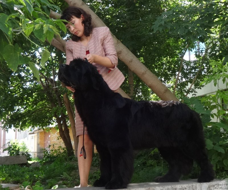 Фотография № 228163