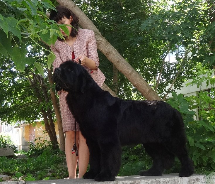 Фотография № 228164