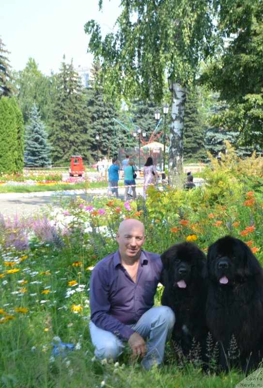 Фото: ньюфаундленд Nazar Vyatskiy Medved (Назар Вятский Медведь), ньюфаундленд Sent Djons Exclusive (Сент Джонс Эксклюзив), Aleksey Votchal (Алексей Вотчал)