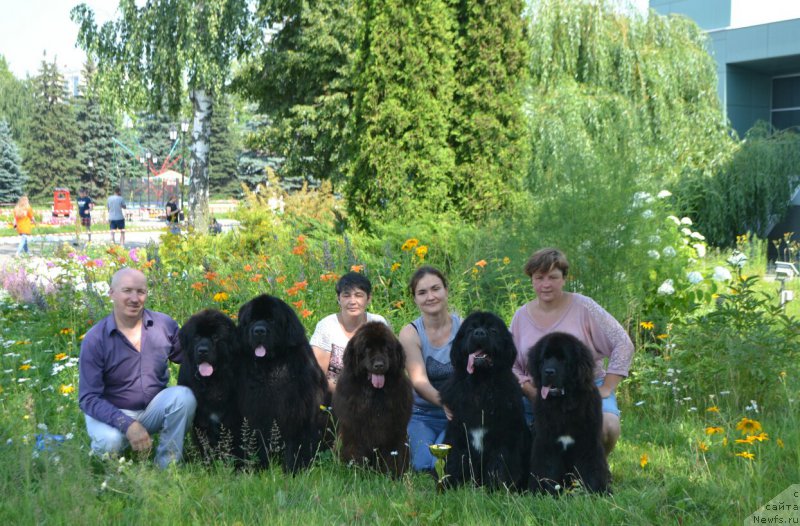 Фото: Aleksey Votchal (Алексей Вотчал), ньюфаундленд Sent Djons Exclusive (Сент Джонс Эксклюзив), ньюфаундленд Nazar Vyatskiy Medved (Назар Вятский Медведь), Galiya Gizatullina (Галия Гизатуллина), ньюфаундленд N'yufort Vivian (Ньюфорт Вивиан), Kseniya Novikova (Ксения Новикова), ньюфаундленд Akvian Song Lavatera (Аквиан Сонг Лаватера)