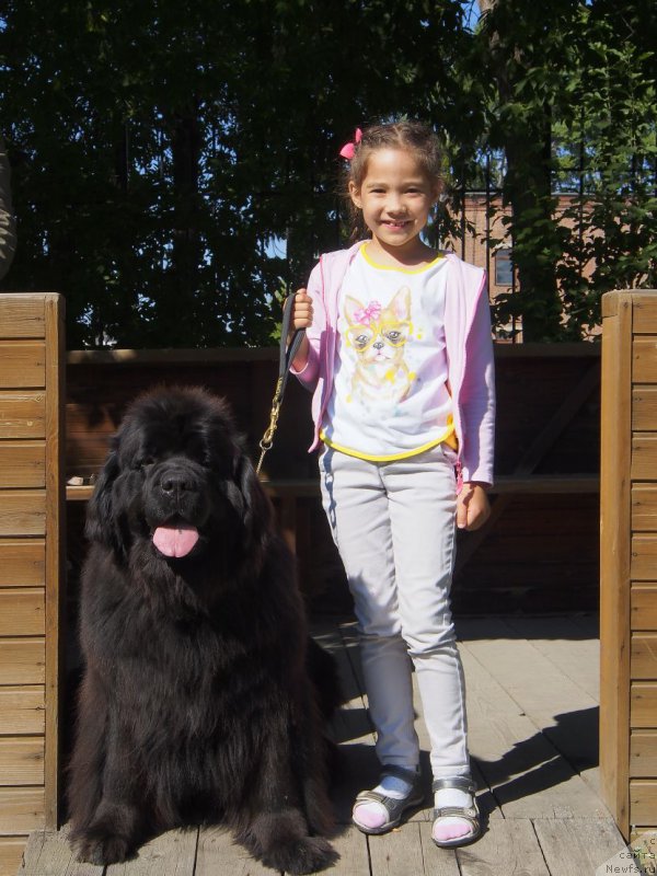 Фотография № 228191