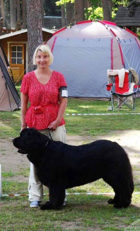 Фотография № 228197