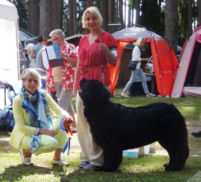 Фотография № 228198