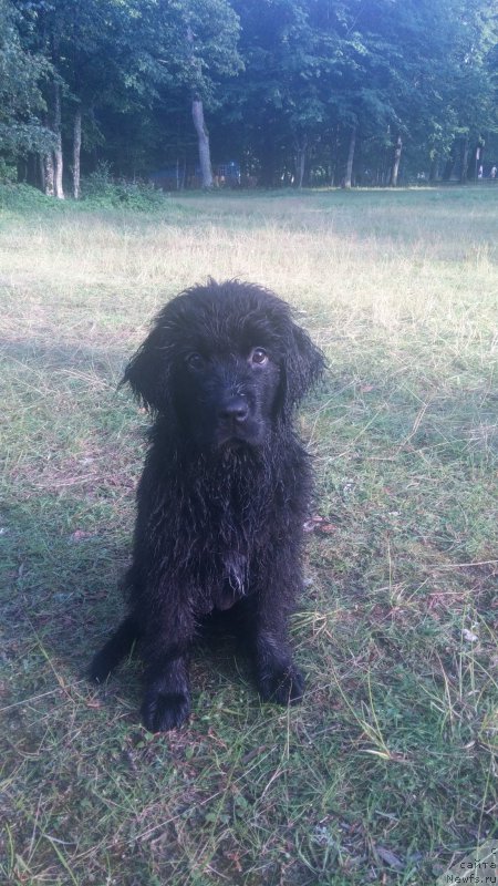 Фото: Andrey Golovnev (Андрей Головнев)