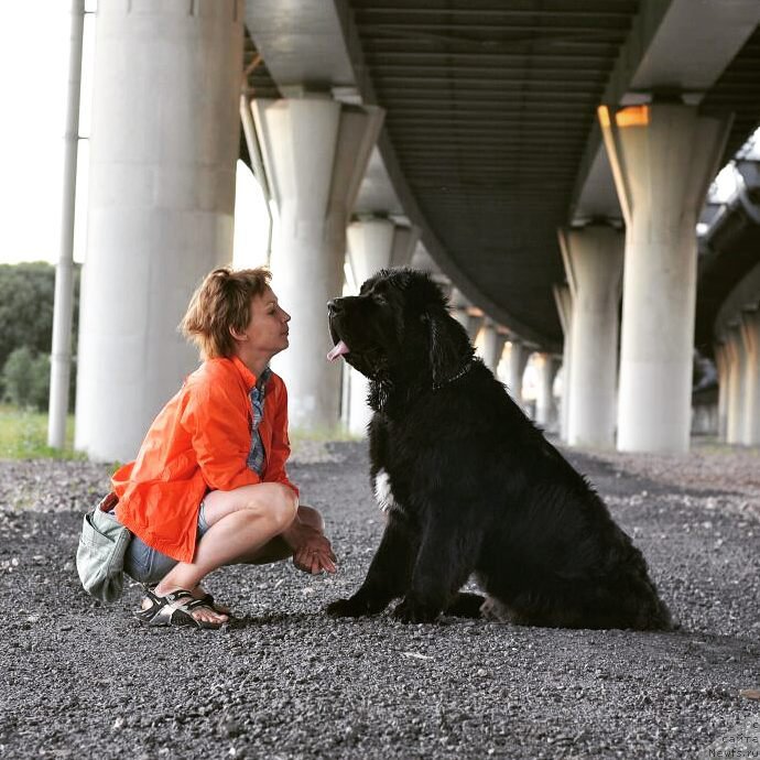 Фотография № 228215