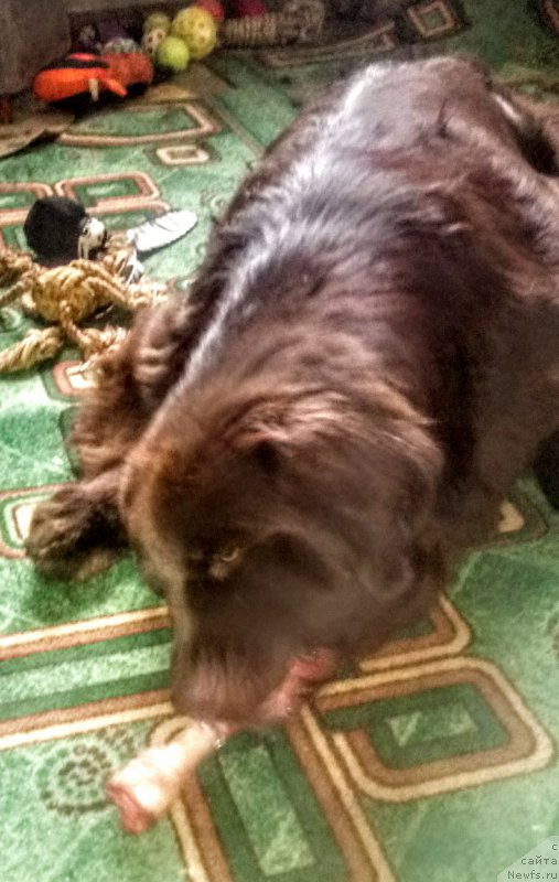 Фотография № 228217