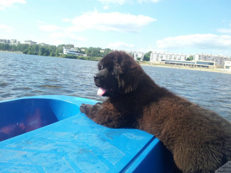 Фотография № 228221