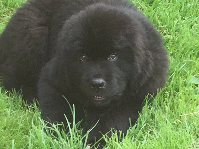 Фотография № 228235