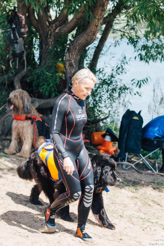 Фотография № 228245