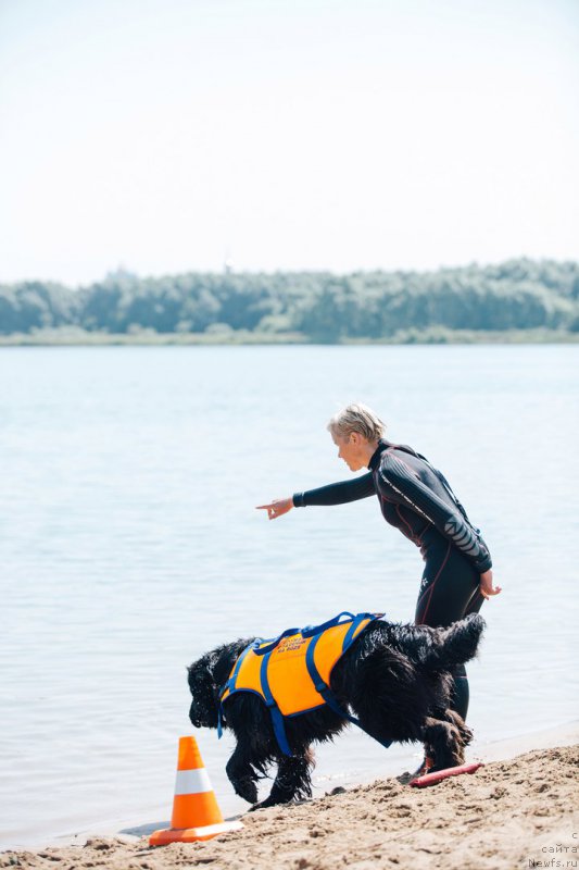 Фотография № 228248