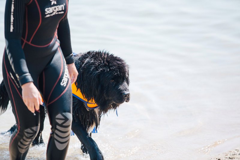 Фотография № 228249