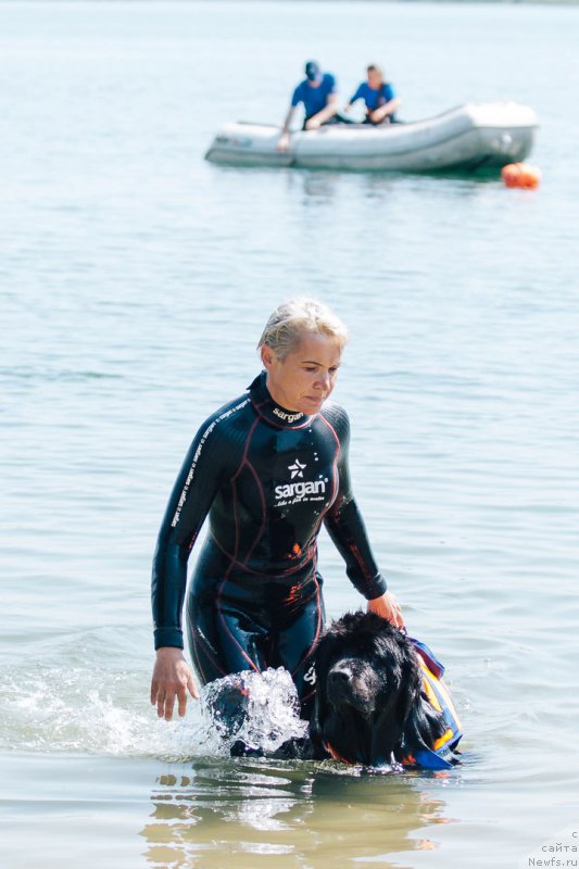 Фотография № 228250