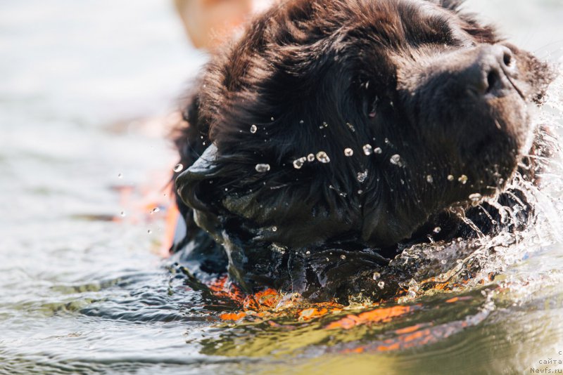 Фотография № 228252