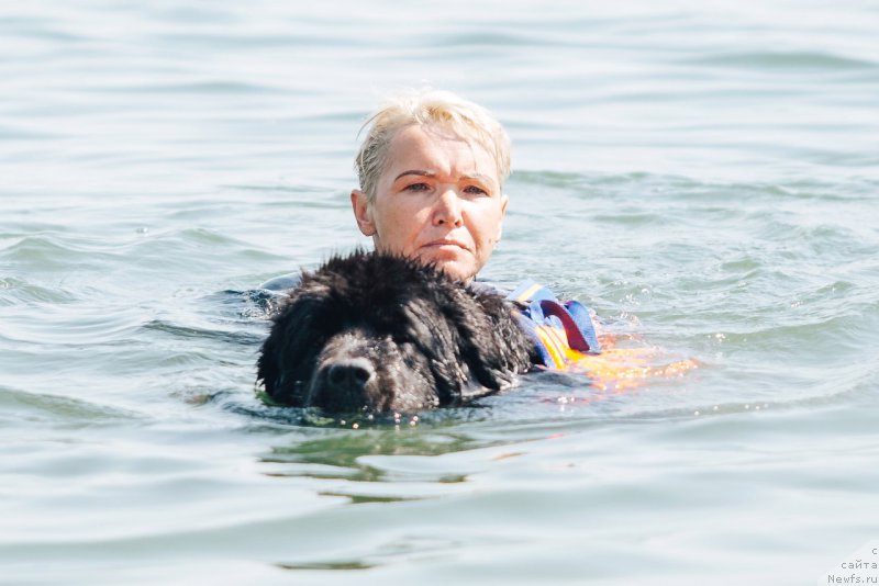 Фотография № 228253