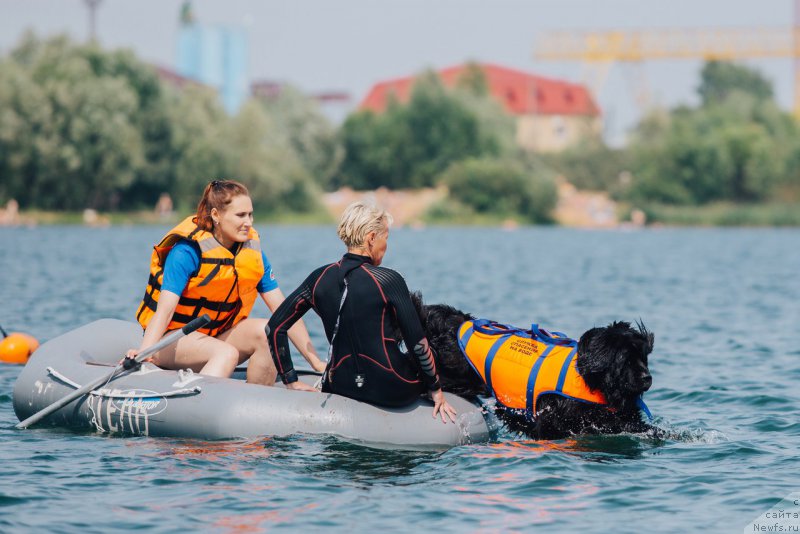 Фотография № 228254