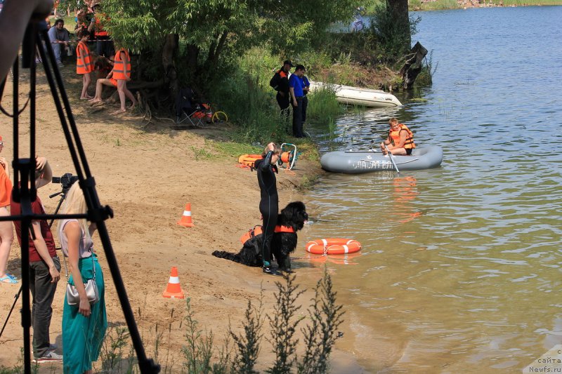 Фотография № 228263