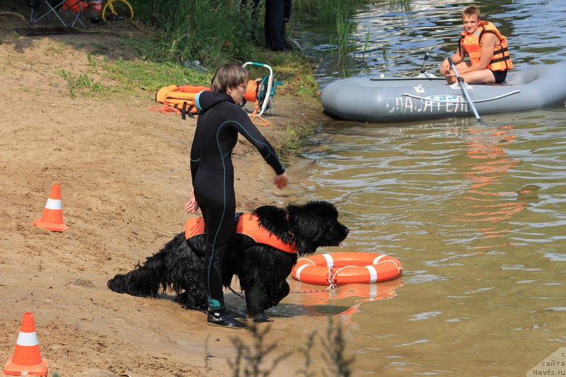 Фотография № 228264