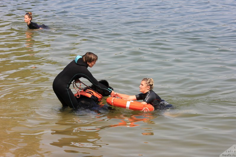 Фотография № 228267