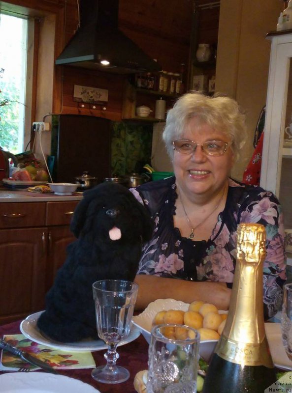 Фотография № 228272