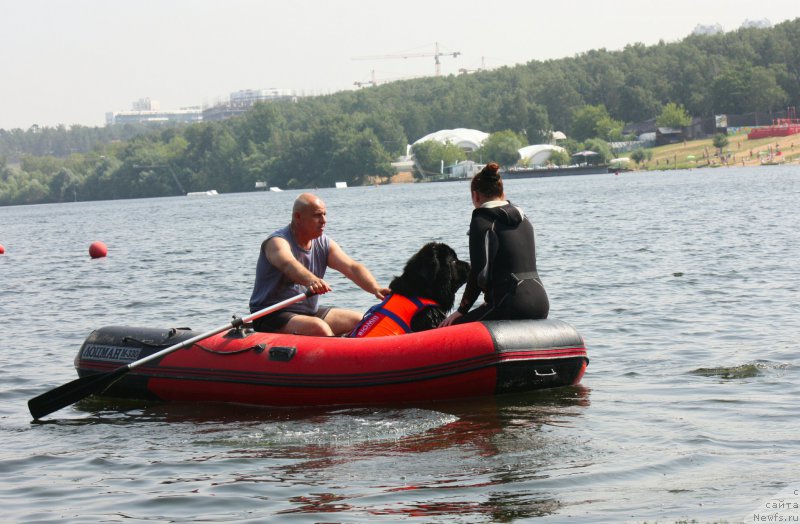 Фотография № 228277