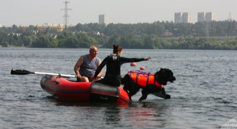 Фотография № 228278