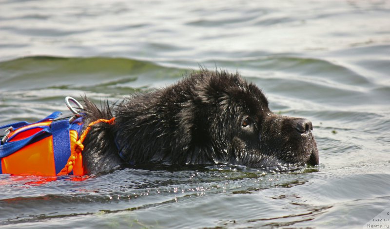 Фотография № 228279