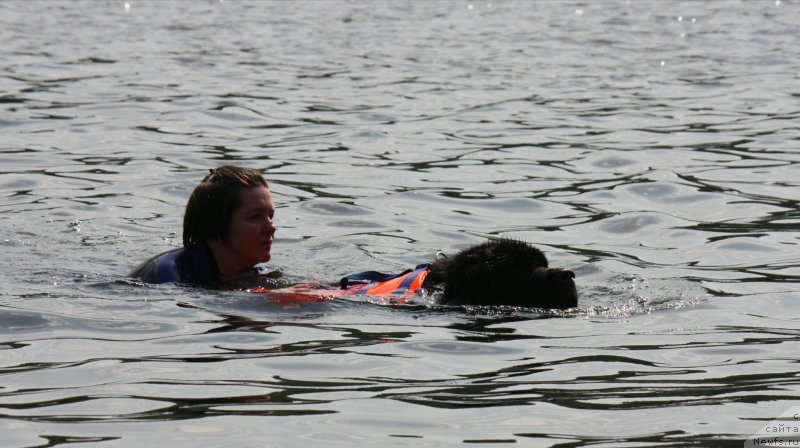 Фотография № 228280