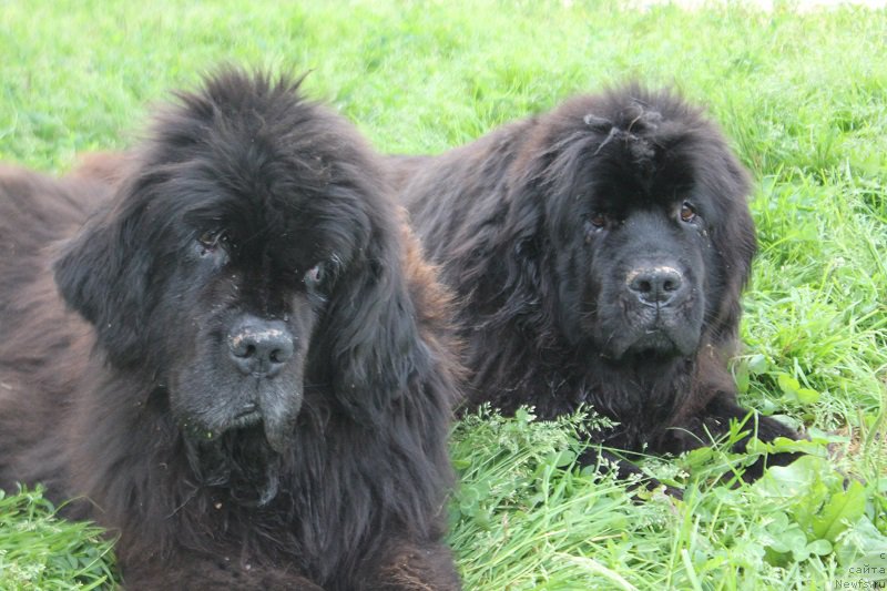 Фотография № 228282