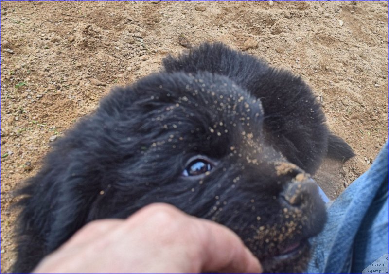 Фотография № 228288