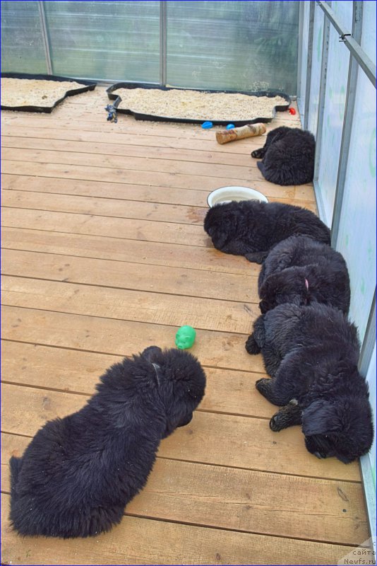 Фотография № 228291