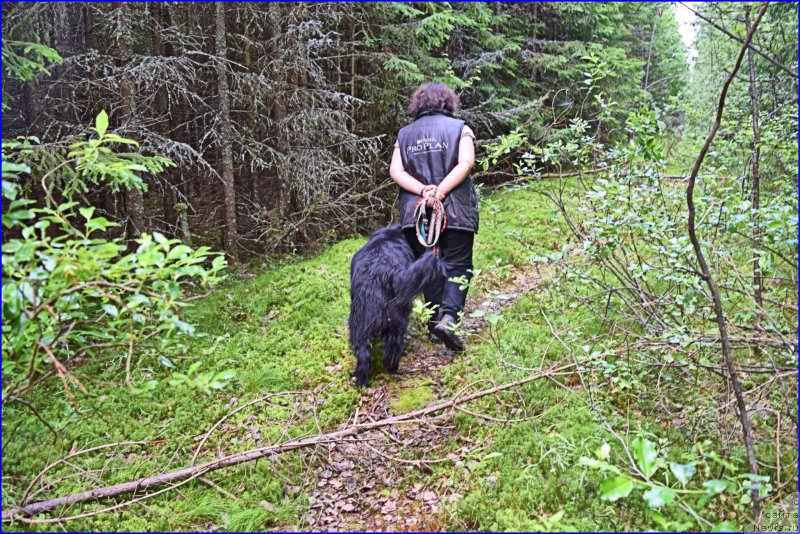 Фотография № 228294