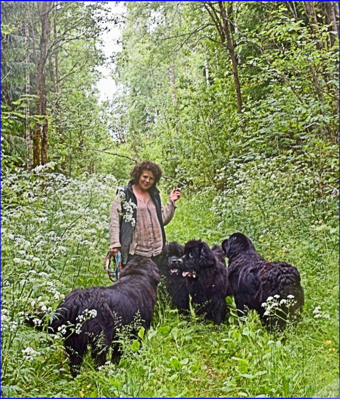 Фотография № 228301