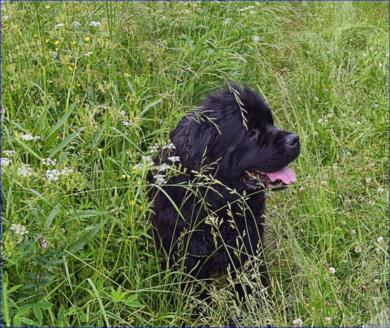 Фотография № 228306