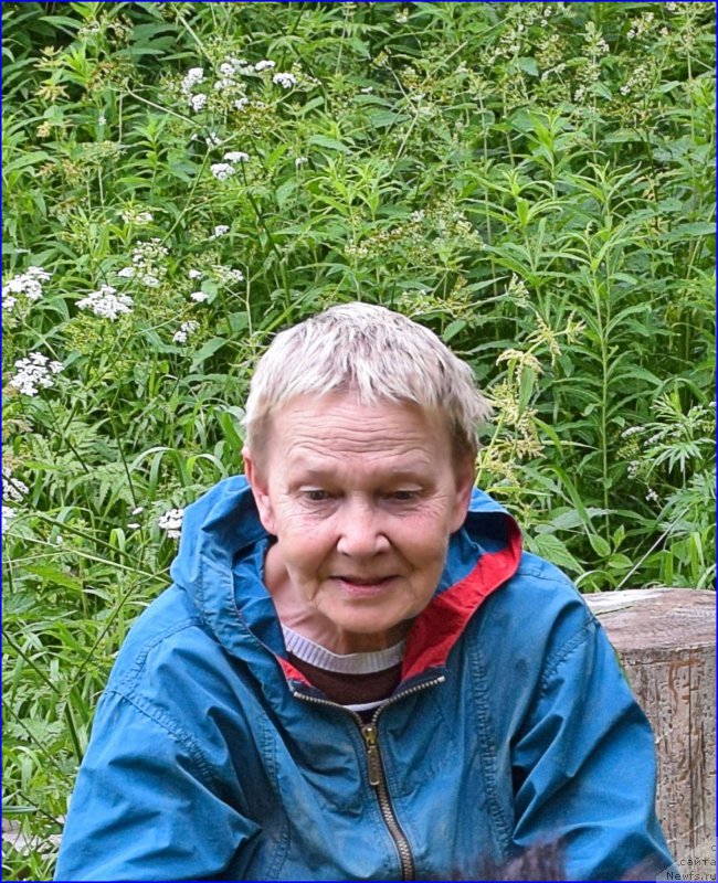 Фотография № 228309