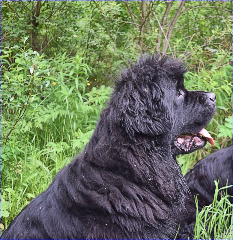 Фотография № 228313