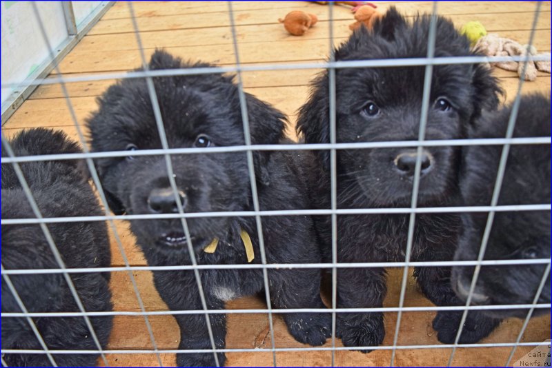 Фотография № 228319