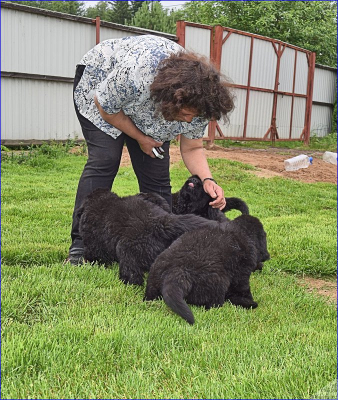 Фотография № 228322