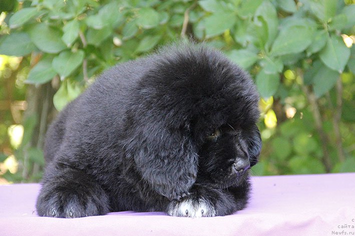 Фотография № 228327