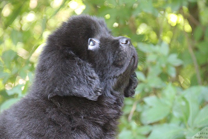 Фотография № 228328