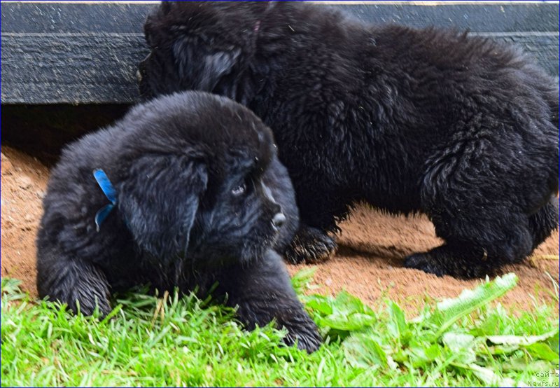 Фотография № 228329